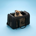 Sherpa Plane Bag