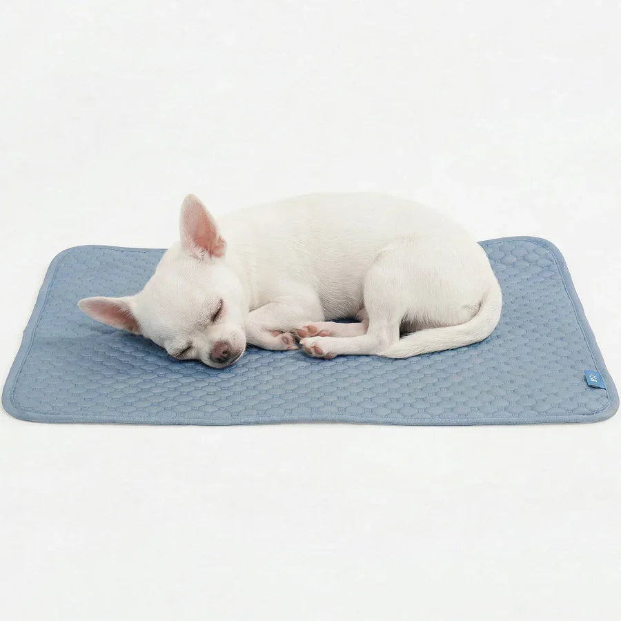 NorthBlanket