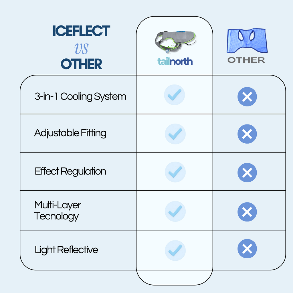 IceFlect
